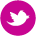 twitter_icon
